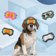 Pet Goggles for Outdoor Windproof Eye Protective Dog Goggles Dog Sun Glasses Adjustable Pet Goggles Travel Sun Glasses
