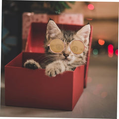 KESYOO 10pcs Pet Sunglasses for Dogs and Cats Lightweight Skin-Friendly Accessories for Stylish Outdoor Fun for Photo Shoots and Costumes