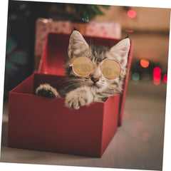 BESPORTBLE 10pcs Pet Dog Puppy Cat Sunglasses Dog Goggles for Small Round Lens Design Comfortable for Kitten and Puppy