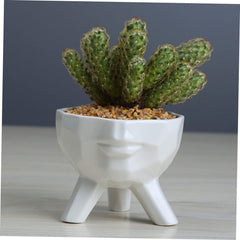BESPORTBLE Creative Half Face Ceramic Pot Large White Planter Three Feet for Desktop Decoration and Plant Display for Ornamentation