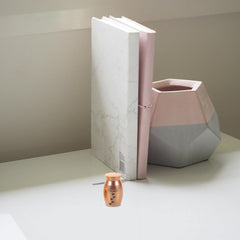 2pcs Small Pet Dogs Keepsake Urns Metal Memorial Ashes Holder with Paw Print Cremation Ashes Box for Pet Dog Loss Hair Tooth Storage Accessories