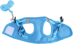 KESYOO 1set Pet Harness Vest and Leash Set Breathable Mesh Reflective Dog Vest Chest Strap for Dogs Blue s Comfortable and Easy to Clean