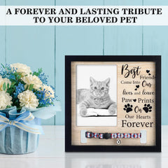 Thyle 9 x 9 Inch Pet Memorial Picture Frame with LED Light Dog Memory Gift Dog Collar Memorial Frame for Loss of Dog Sympathy Gift for Remembrance Bereavement Passed Away Loss of Dogs Cats