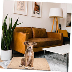 Luxury Dog Puppy Blanket Soft Cashmere Pet Blanket Mat Warm Winter Bed for Pet