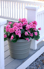 The HC Companies 12 Inch Marina Planter Lightweight Indoor Outdoor Plastic Plant Pot for Herbs and Flowers, Warm Gray