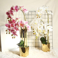Artificial Orchids Phalaenopsis Orchid Bonsai Flower Plant Pot Plastic Faux Flowers Arrangement for Home Centerpiece Table Decor