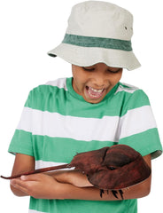 Folkmanis Horsehoe Crab Hand Puppet