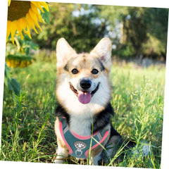 Reflective Dog Vest Harness with Leash Comfortable for Medium to Large Dogs Stylish Design Dark and Outdoor Adventures