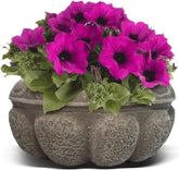 Elly Décor Plastic Cantera Planter 10x5 in. Pot Cantera Design Decorative for Indoor and Outdoors Plants Round Flower Pot White cantera