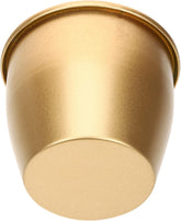 Metal Flower Pot Modern Gold Iron Planter for Indoor and Outdoor Use for Succulents and Plants and Stylish Decorative Container for Home and Garden