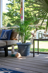 The HC Companies 12 Inch Marina Planter Lightweight Indoor Outdoor Plastic Plant Pot for Herbs and Flowers, Warm Gray