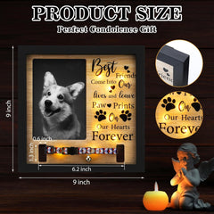 Thyle 9 x 9 Inch Pet Memorial Picture Frame with LED Light Dog Memory Gift Dog Collar Memorial Frame for Loss of Dog Sympathy Gift for Remembrance Bereavement Passed Away Loss of Dogs Cats