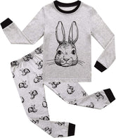 RKOIAN Little Boys Long Sleeve Pajamas Sets Toddler 100% Cotton Pjs Kids Sleepwears