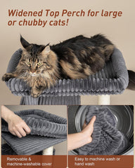 Cat Tree for Large Cat, 22.8in Cat Tower with Scratching Post, 20.9 * 15.7in Perch Bed for Adult Cats, Cat Condo with 2 Caves for Indoor Cats, Dark Gray