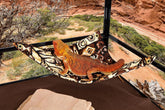 Hammock for Bearded Dragons, Tanzania Mozaic Fabric with Suction Cup Hooks