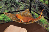 Hammock for Bearded Dragons, Leopard Dreams Fabric with Suction Cup Hooks