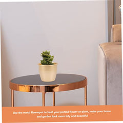 BESPORTBLE Gold Metal Flower Pot for Indoor Plants Small Iron Planter Drainage Decorative Succulent Container for Home and Garden