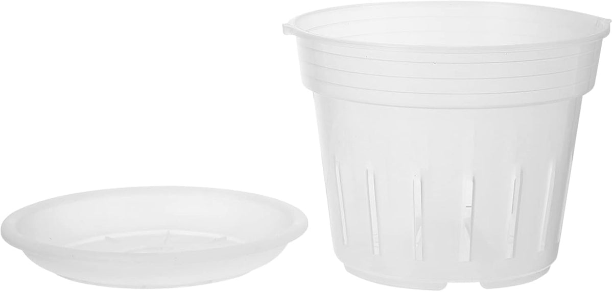 1 Set Phalaenopsis Hard Planting Cup Bonsai Training Pot Slotted Orchids Planter Bonsai Planter Container Hanging Pots Orchid Nursery Pots Clear Orchid Pot Indoor Coaster Plastic