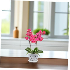 Garneck 5Sets Clear Pots with Drainage Holes Transparent Planters for Indoor and Outdoor Use Lightweight Flower Pots with Base for Healthy Plant Growth