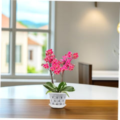 Garneck 5Sets Clear Pots with Drainage Holes Transparent Planters for Indoor and Outdoor Use Lightweight Flower Pots with Base for Healthy Plant Growth