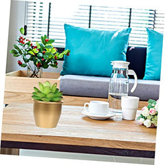 Flower Pot Metal Plant Pots Set of 2 Garden Planter Rustic Style for Home Office Decor