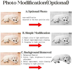 ILoveU Personalized Pet Memorial Stones, Memorial Plaque for Pets, Dog, Cat, Black Granite Memorial Garden Stone Engraved with Photo, Dog Memorial Grave Markers Pet Memorial