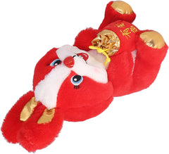 Year of The Rabbit 2023 Stuffed Animal, 2023 Chinese New Year Rabbit Toy Ornament Decorations, Bunny Plush Toy Zodiac Animal Plush Rabbit Hugging Pillow for Spring Festival Gift Home(Type 5)