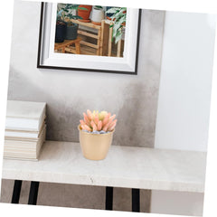 Indoor Planter for Succulents and Flowers Modern Design Flower Pot for Home Durable Container for Small to Plants for Indoor and Outdoor Use