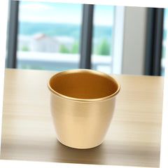 Small Gold Plant Pot Modern Gold Planter for Plants Chic Flower Pot Simple Design