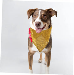 GANAZONO 2pcs Sequin Collar Cooling Bandana Dog Triangle Scarf Pet Bib for Photography and Costumes