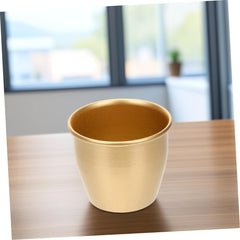 Small Gold Plant Pot Modern Gold Planter for Plants Chic Flower Pot Simple Design