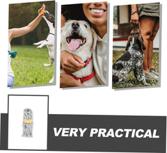 Yardwe 2pcs Soft Plush Catnip Chew Toys Interactive Pillow Design for Indoor Cats and Engaging Teething Plush Toys Fun Pet Cat Playtime Essentials