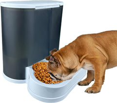 Large Capacity Automatic Water Fountain Food Bowl for Cats Dogs Feeders Bowl Food Container Pet Watering Feeding Supply