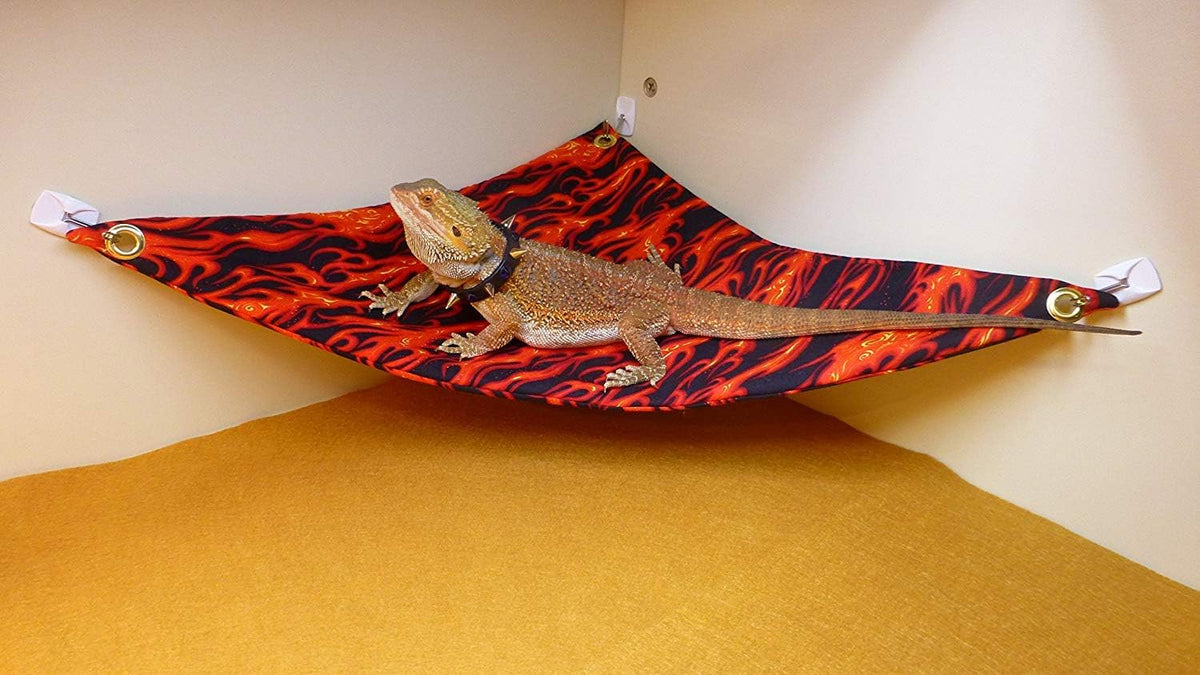 Hammock for Bearded Dragons, Flames Fabric with Suction Cup Hooks