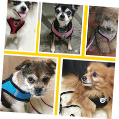BESPORTBLE Pet Supplies Dog Vest Leash Mesh Harness for Small and Medium Dogs Breathable Comfort