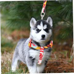 Dog Harness Set Leash Small Dog Harness No Pull Nylon for Small Pet for