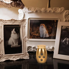 Zerodeko 3pcs Creative Stainless Steel Pet Urn for Ashes Memorial Container Elegant and Cats for Commemorating Beloved Pets Finish