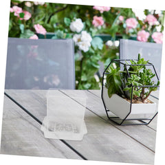 BESPORTBLE Compact Nursery Pots Set of 1 Planter Pots with Hydroponic Design Ideal for Boys and Girls' Planting and Learning