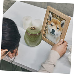 Ceramic Pet Keepsake Urn for Ashes Cinerary Casket Memorial Jar Lid Elegant Pet Memorial for Cats and Dogs Portable Ashes Container