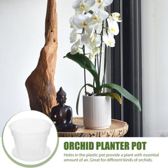 1 Set Phalaenopsis Hard Planting Cup Bonsai Training Pot Slotted Orchids Planter Bonsai Planter Container Hanging Pots Orchid Nursery Pots Clear Orchid Pot Indoor Coaster Plastic