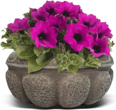 Elly Décor Plastic Cantera Planter 10x5 in. Pot Cantera Design Decorative for Indoor and Outdoors Plants Round Flower Pot White cantera