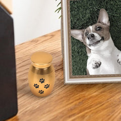 Zerodeko 3pcs Creative Stainless Steel Pet Urn for Ashes Memorial Container Elegant and Cats for Commemorating Beloved Pets Finish