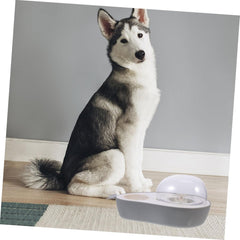 Convenient Cat Water Dispenser Wear Resistant Automatic Water Bowl Lightweight Compact Household Water Feeder for Busy Owners Easy to and Safe Design