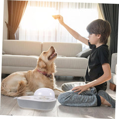 Convenient Cat Water Dispenser Wear Resistant Automatic Water Bowl Lightweight Compact Household Water Feeder for Busy Owners Easy to and Safe Design