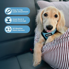 Best Pet Supplies - All Weather Mesh, Reflective, No Pull Harness for Small, Medium Dogs, Cats - Secure with Hook & Loop Fastener, Buckle, Double D-Rings - Baby Blue/Black Trim, M