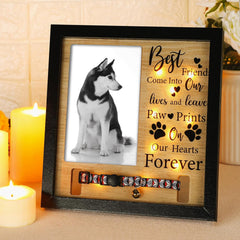 Thyle 9 x 9 Inch Pet Memorial Picture Frame with LED Light Dog Memory Gift Dog Collar Memorial Frame for Loss of Dog Sympathy Gift for Remembrance Bereavement Passed Away Loss of Dogs Cats