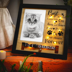 Thyle 9 x 9 Inch Pet Memorial Picture Frame with LED Light Dog Memory Gift Dog Collar Memorial Frame for Loss of Dog Sympathy Gift for Remembrance Bereavement Passed Away Loss of Dogs Cats