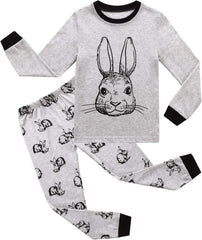 RKOIAN Little Boys Long Sleeve Pajamas Sets Toddler 100% Cotton Pjs Kids Sleepwears