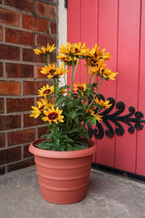 The HC Companies 12 Inch Marina Planter Lightweight Indoor Outdoor Plastic Plant Pot for Herbs and Flowers, Warm Gray