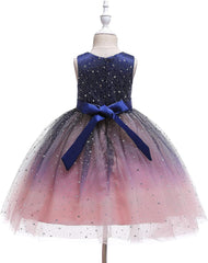 Glamulice Princess Sparkle Tulle Dress Little/Big Girls A Line Bridesmaid Wedding Birthday Party Pageant Tutu Dresses